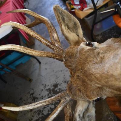 Sale Photo Thumbnail #5