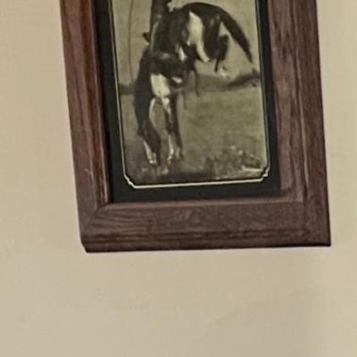 Sale Photo Thumbnail #300