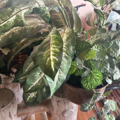 Sale Photo Thumbnail #371