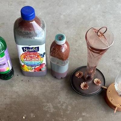 Bird Feeders and More