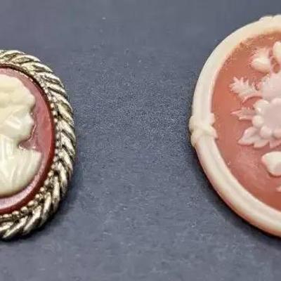 Cameo Brooch And A Flower Bouquet Brooch