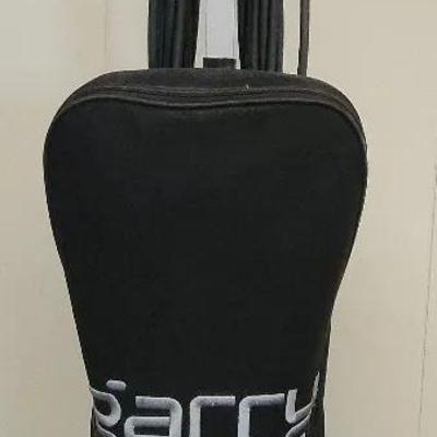 Professional Cleaning Power: Garry Ultra-Light Platinum Pro Vacuum