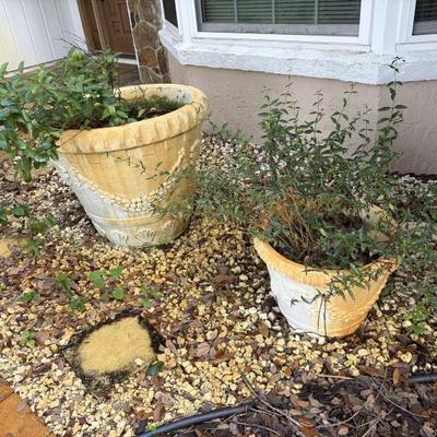 Sale Photo Thumbnail #143