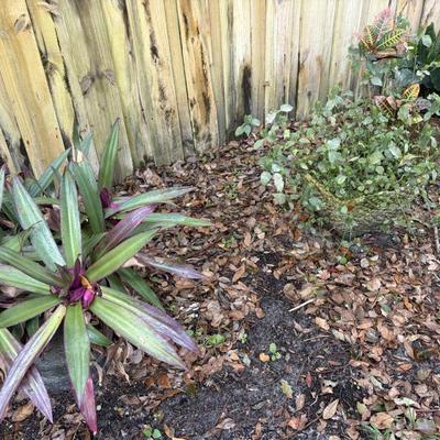 Sale Photo Thumbnail #148