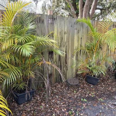 Sale Photo Thumbnail #149