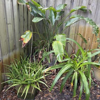 Sale Photo Thumbnail #151