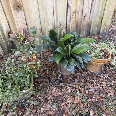 Sale Photo Thumbnail #147