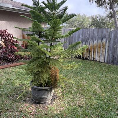 Sale Photo Thumbnail #145