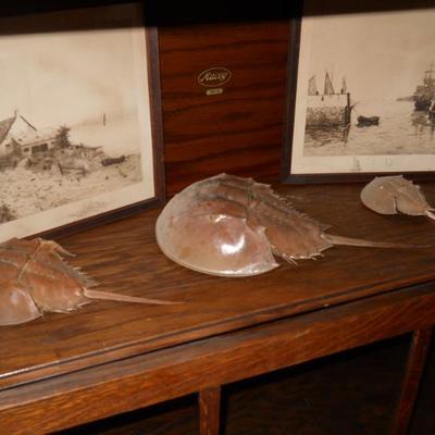 Sale Photo Thumbnail #6