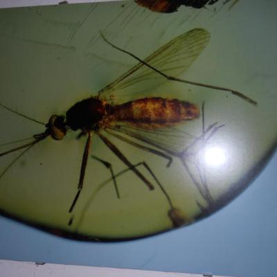 Sale Photo Thumbnail #89