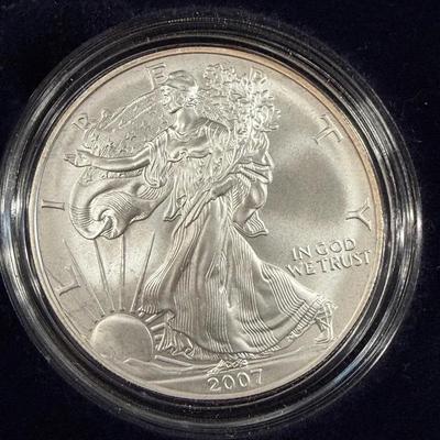 DMJ302 - 2007 US American Eagle Uncirculated