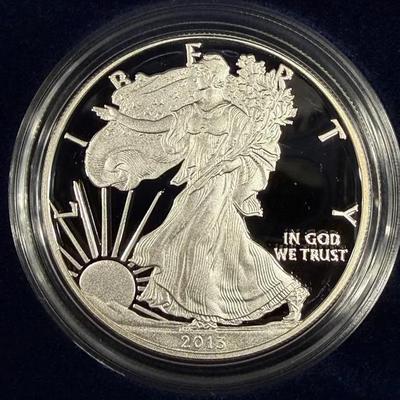 DMJ308 - 2013 US American Eagle Proof