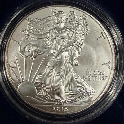 DMJ307 - 2013 US American Eagle Uncirculated