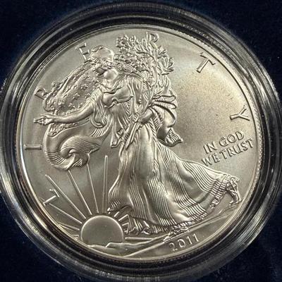 DMJ305 - 2011 US American Eagle Uncirculated