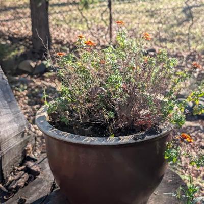 Sale Photo Thumbnail #22