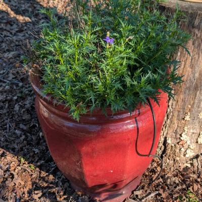 Sale Photo Thumbnail #21