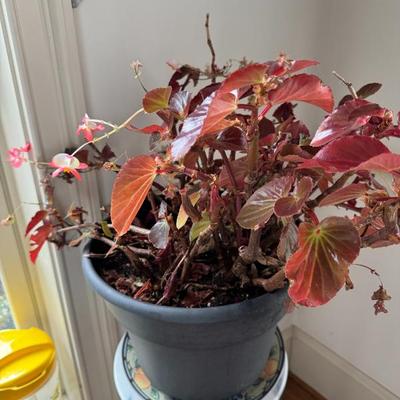 Sale Photo Thumbnail #223