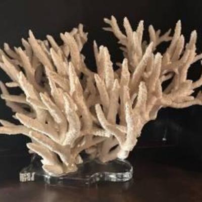 Sale Photo Thumbnail #42