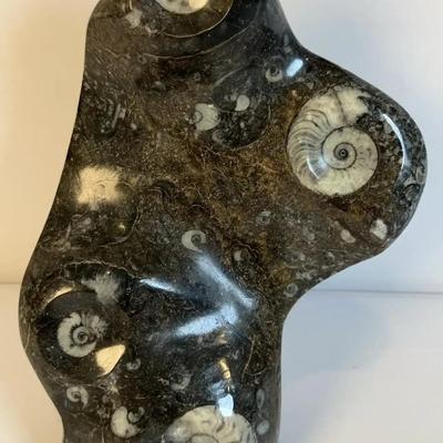 Goniatite & Orthoceras Fossil Sculpture 