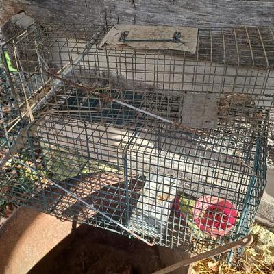 Sale Photo Thumbnail #546