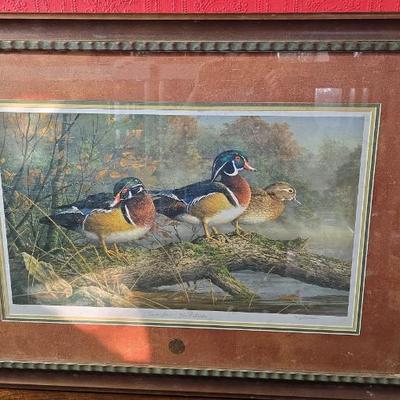 Sale Photo Thumbnail #262