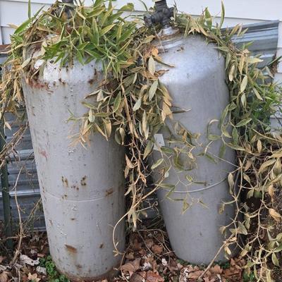 Sale Photo Thumbnail #555