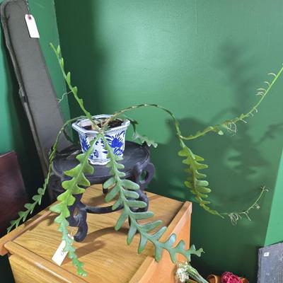 Sale Photo Thumbnail #101