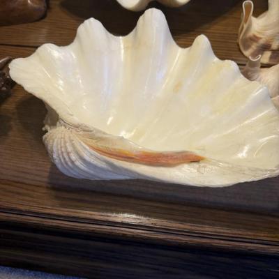 Sale Photo Thumbnail #203