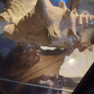 Sale Photo Thumbnail #202