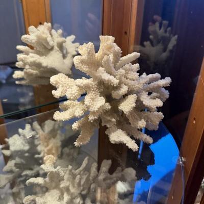 Sale Photo Thumbnail #191