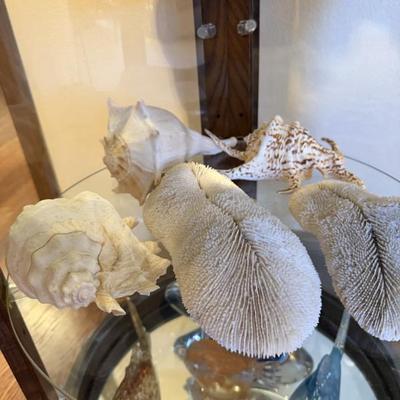 Sale Photo Thumbnail #146