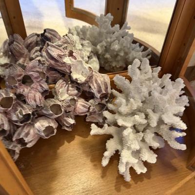 Sale Photo Thumbnail #194