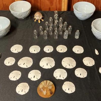 The SeaShell By The Sea