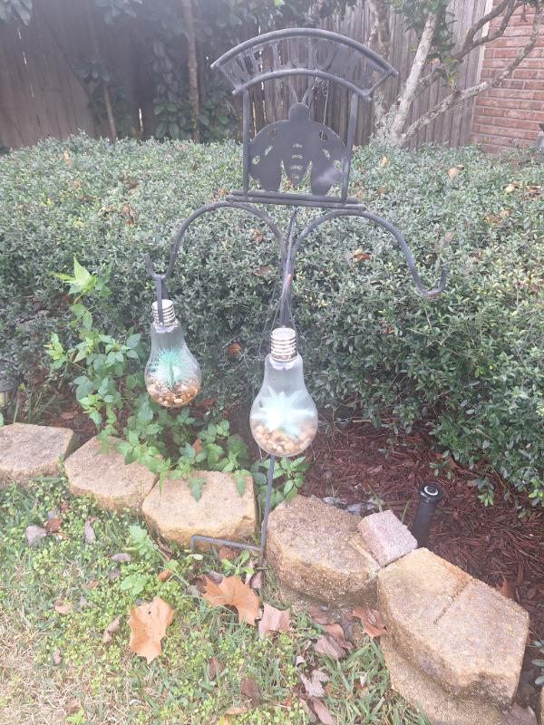 Sale Photo Thumbnail #7