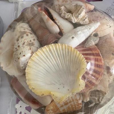 Sale Photo Thumbnail #118