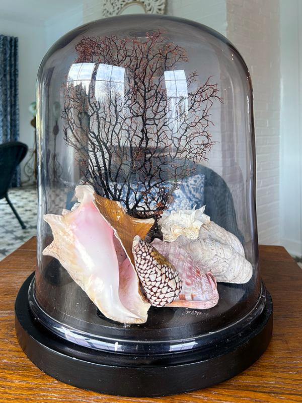 Sale Photo Thumbnail #55