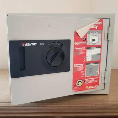 Sentry 1230 Combination Fire Safe
