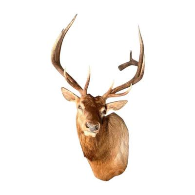 Sale Photo Thumbnail #8