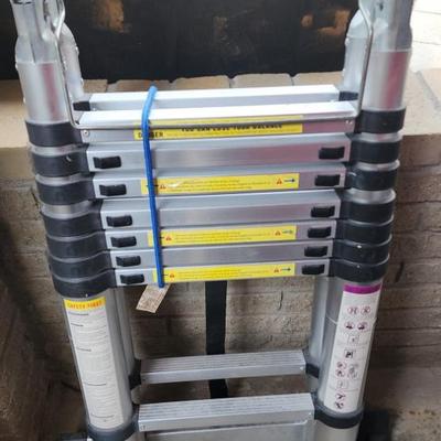 telescoping ladder
