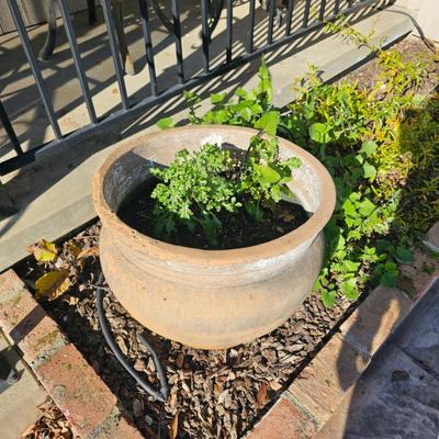 Sale Photo Thumbnail #84