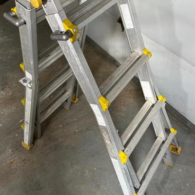 Cosco Multi Position Ladder 