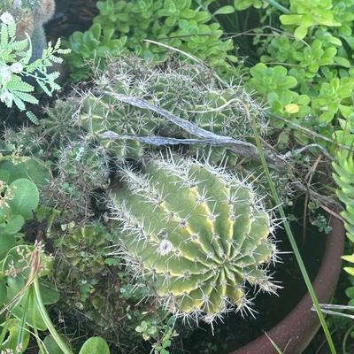 Sale Photo Thumbnail #164