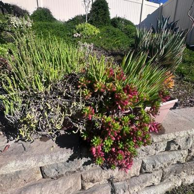 Sale Photo Thumbnail #169