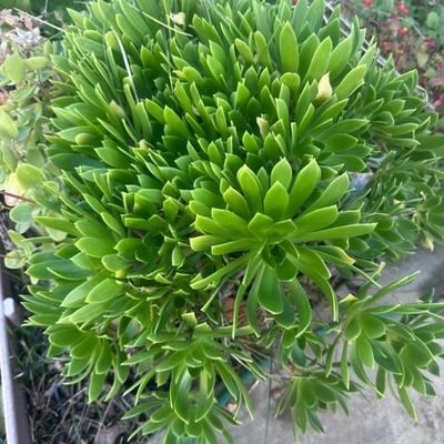 Sale Photo Thumbnail #162