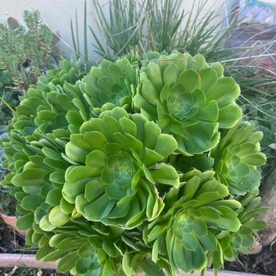 Sale Photo Thumbnail #161