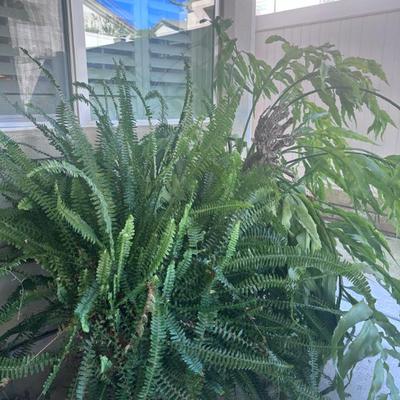 Sale Photo Thumbnail #155