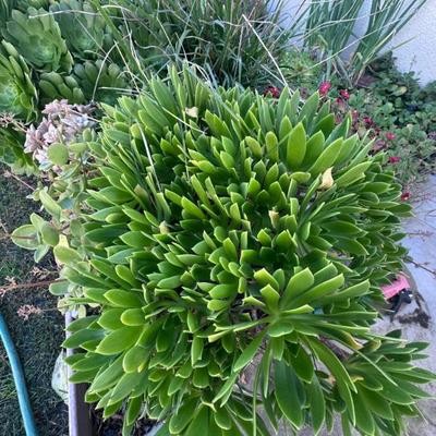 Sale Photo Thumbnail #163