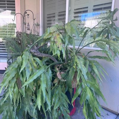 Sale Photo Thumbnail #170