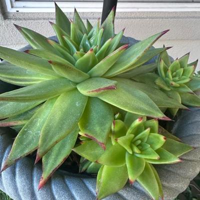 Sale Photo Thumbnail #157