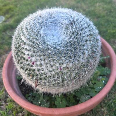 Sale Photo Thumbnail #160